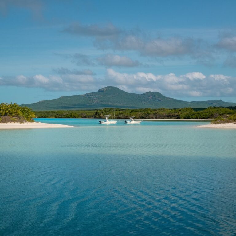 Bahamas Bonefishing